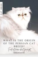What Is the Origin of the Persian Cat Breed?