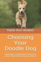 Choosing Your Doodle Dog