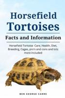 Horsefield Tortoises