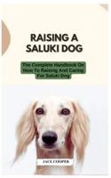 Raising a Saluki Dog
