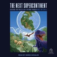 The Next Supercontinent