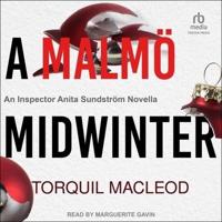 A Malmö Midwinter