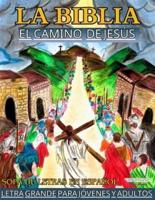 La Biblia El Camino De Jesus