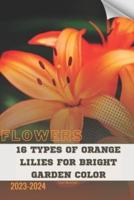 16 Types of Orange Lilies For Bright Garden Color