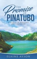 The Promise of Pinatubo