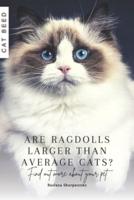 Are Ragdolls Larger Than Average Cats?