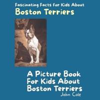 A Picture Book for Kids About Boston Terriers