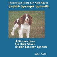 A Picture Book for Kids About English Springer Spaniels