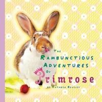 The Rambunctious Life Of Primrose