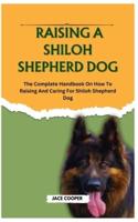 Raising a Shiloh Shepherd Dog