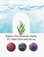 Explore The Seawater Herbs