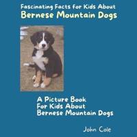 A Picture Book for Kids About Bernese Mountain Dogs