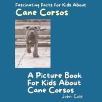 A Picture Book for Kids About Cane Corsos