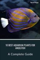 10 Best Aquarium Plants for Angelfish