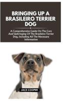 Bringing Up a Brasileiro Terrier Dog