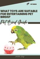 What Toys Are Suitable for Entertaining Pet Birds?