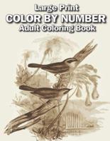 Large Print Color by Number Adult Coloring Book