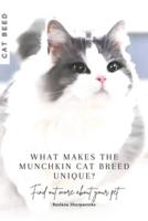 What Makes the Munchkin Cat Breed Unique?