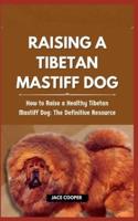 Raising a Tibetan Mastiff Dog