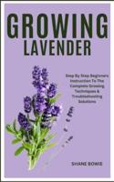 Growing Lavender