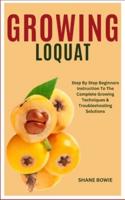 Growing Loquat