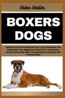 Boxers Dogs