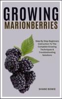 Growing Marionberries