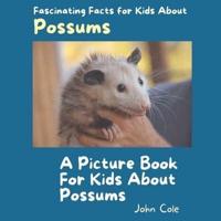 A Picture Book for Kids About Possums