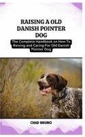 Old Danish Pointer Dog