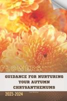 Guidance for Nurturing Your Autumn Chrysanthemums