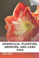Amaryllis, Planting, Growing, and Care Tips