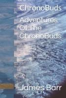 Adventures Of The ChronoBuds