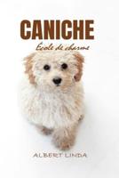 CANICHE École De Charme 2024 2025