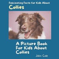 A Picture Book for Kids About Collies