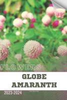 Globe Amaranth