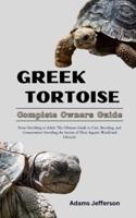 Greek Tortoise