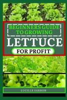 Beginners Guide to Lettuce for Profit