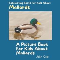 A Picture Book for Kids About Mallards