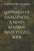 Labyrinth of Challenges