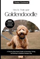How to Train Your Goldendoodle