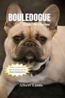 BOULEDOGUE École De Charme 2024 2025