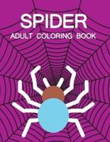 Spider Adult Coloring Book