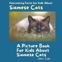 A Picture Book for Kids About Siamese Cats