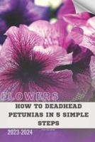 How to Deadhead Petunias in 5 Simple Steps