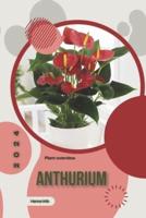 Anthurium