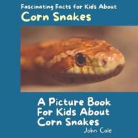 A Picture Book for Kids About Corn Snakes