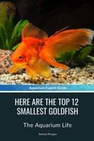 Here Are The Top 12 Smallest Goldfish