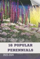 16 Popular Perennials