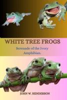 White Tree Frogs