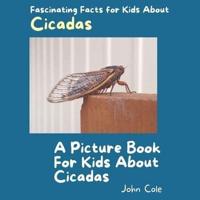 A Picture Book for Kids About Cicadas